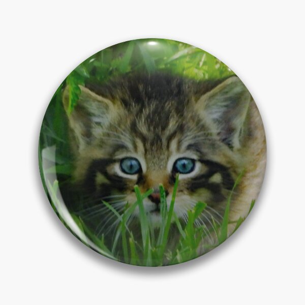 Item preview, A Gorgeous Scottish Wildcat Kitten designed and sold by Karen Thomson.