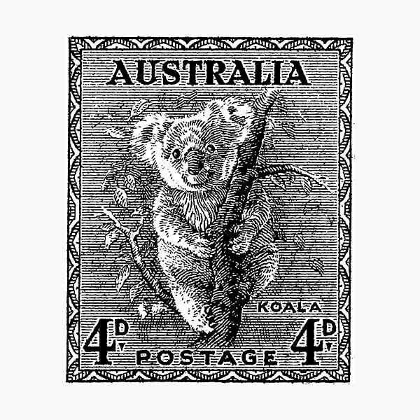 Item preview, Koala Classic Stamp designed and sold by makari.