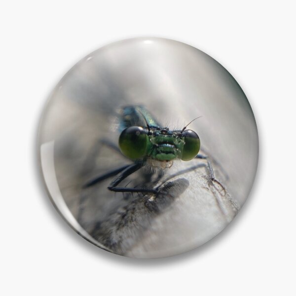 Artikelvorschau, Damselfly hautnah entworfen und verkauft von Sandi Walmsley.