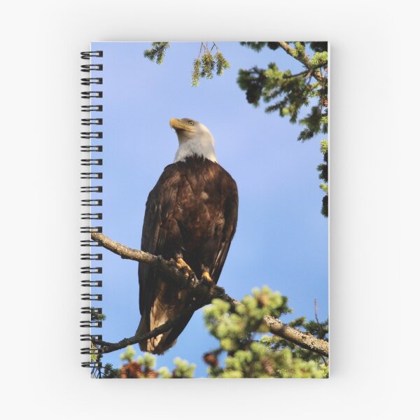 Item preview, Majestic bald eagle designed and sold by Sandi Walmsley.