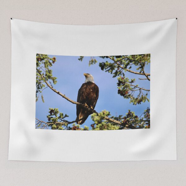 Item preview, Majestic bald eagle designed and sold by Sandi Walmsley.