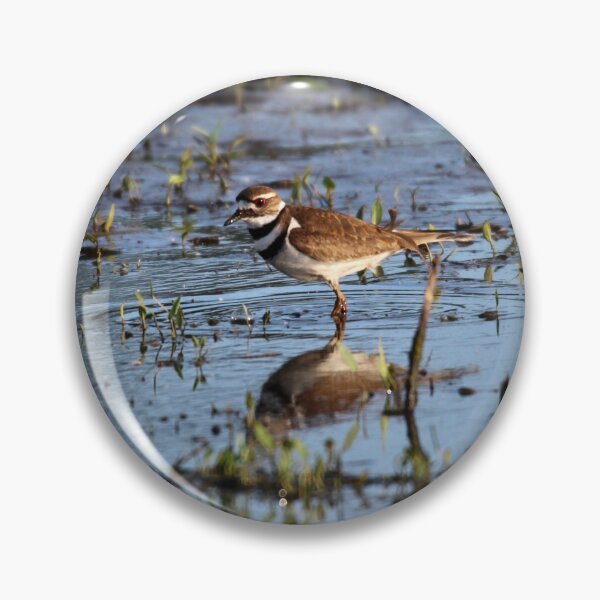 Item preview, Killdeer reflections designed and sold by Sandi Walmsley.