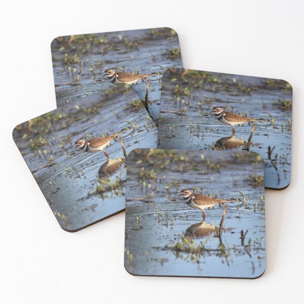Item preview, Killdeer reflections designed and sold by Sandi Walmsley.