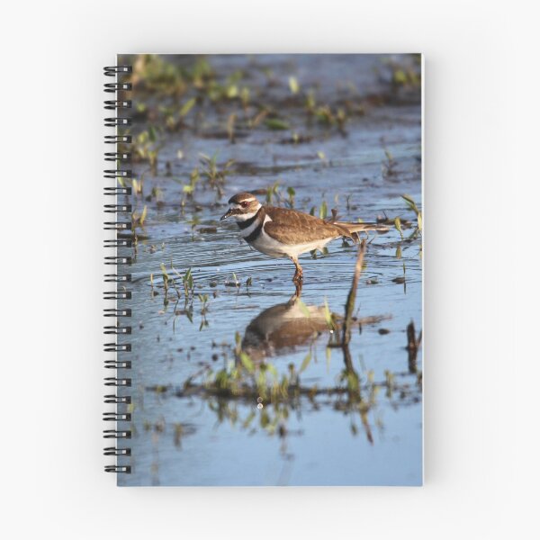 Item preview, Killdeer reflections designed and sold by Sandi Walmsley.