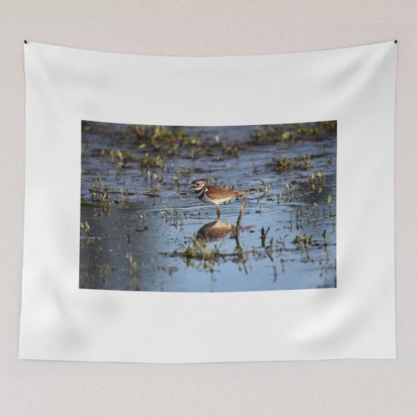 Item preview, Killdeer reflections designed and sold by Sandi Walmsley.