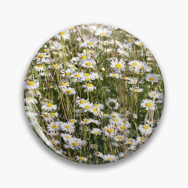 Item preview, Field of daisies designed and sold by Sandi Walmsley.