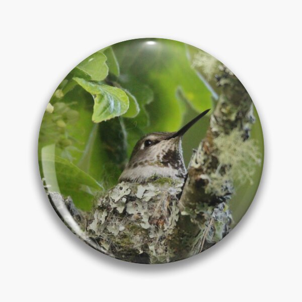 Item preview, Hummingbird on nest designed and sold by Sandi Walmsley.