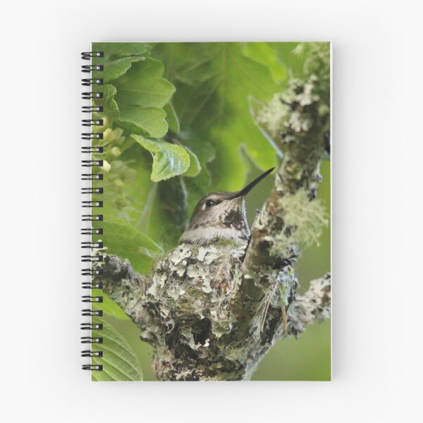 Item preview, Hummingbird on nest designed and sold by Sandi Walmsley.