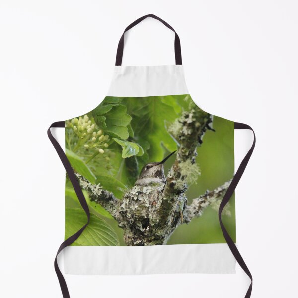 Item preview, Hummingbird on nest designed and sold by Sandi Walmsley.