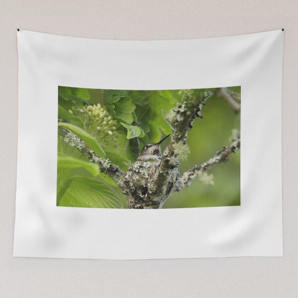 Item preview, Hummingbird on nest designed and sold by Sandi Walmsley.
