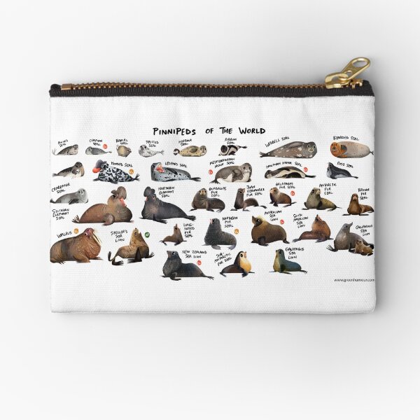 Item preview, Pinnipeds of the World designed and sold by Green Humour.