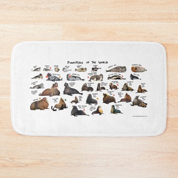 Item preview, Pinnipeds of the World designed and sold by Green Humour.