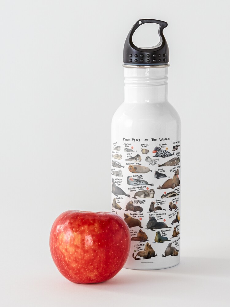 Alternate view of Pinnipeds of the World Water Bottle