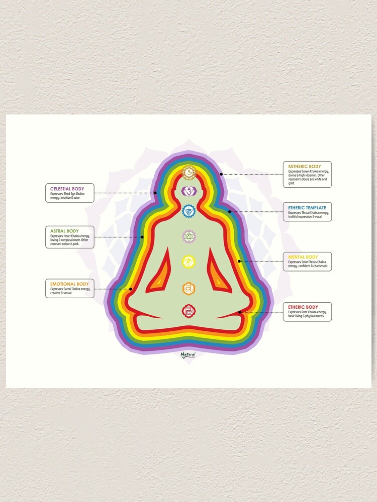 Chakra & Aura Energetic Body Poster (with definitions)