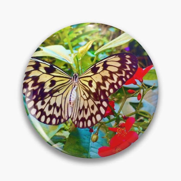 Item preview, Beautiful Butterfly designed and sold by SunnyDesignsCo.