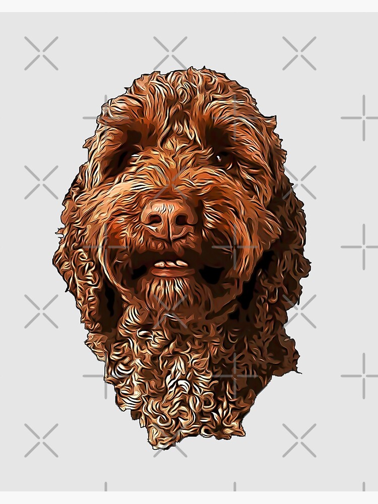 Labradoodle smile best sale