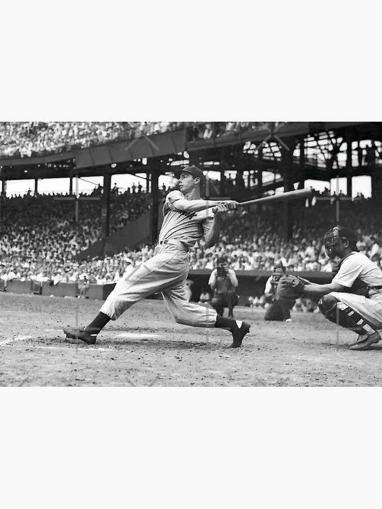 Joe DiMaggio and Ted Williams Essential T-Shirt for Sale by  ClementinaHauck