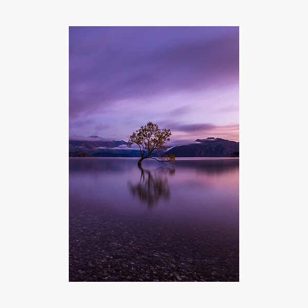 Smooth Photographic Print