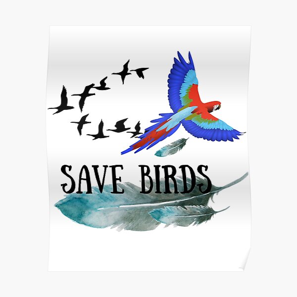 Save Birds Posters for Sale | Redbubble Save Birds Posters for Sale | Redbubble