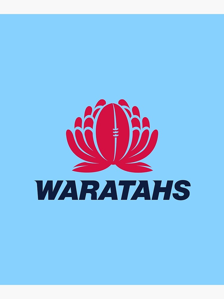 "Waratahs " Mounted Print for Sale by golbergstan Redbubble