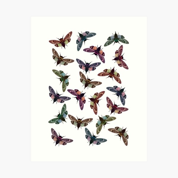Multi Colour Cicadidae Art Print