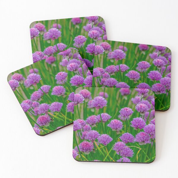 Item preview, Chives a tasty and colourful addition to the garden designed and sold by Dalyndigital Photography.