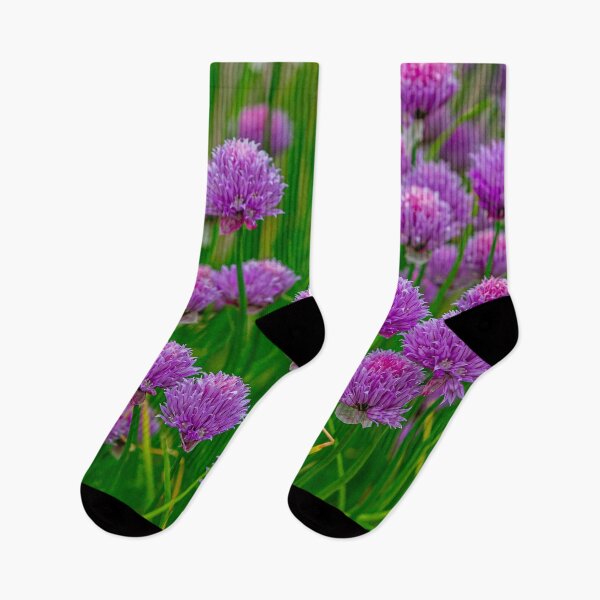 Item preview, Chives a tasty and colourful addition to the garden designed and sold by Dalyndigital Photography.