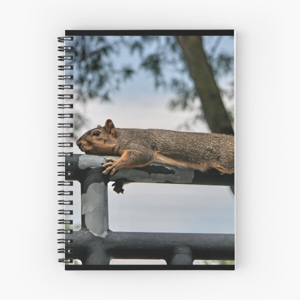 Item preview, Squirrel Hangin' Out designed and sold by Photos by Phil.
