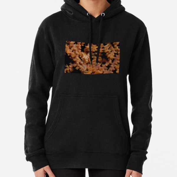 Pygmy Seahorse, North Sulawesi, Indonesia Pullover Hoodie
