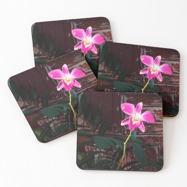 Item preview, The last time of the last orchid on an old wood wall,only the lonely but lovely designed and sold by Trianglegreen.