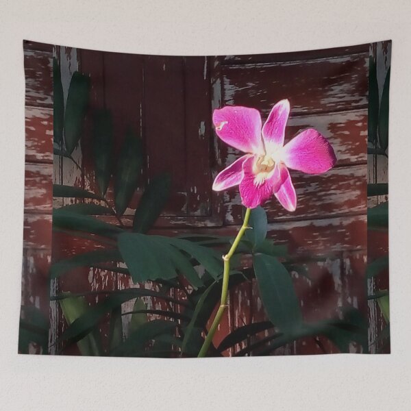 Item preview, The last time of the last orchid on an old wood wall,only the lonely but lovely designed and sold by Trianglegreen.