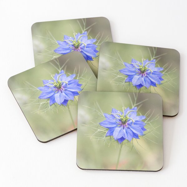 Item preview, Nigella Blues designed and sold by JEZ22.