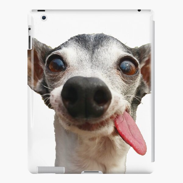 Monkey Dog Funny iPad Cases & Skins for Sale | Redbubble Monkey Dog Funny iPad Cases & Skins for Sale | Redbubble