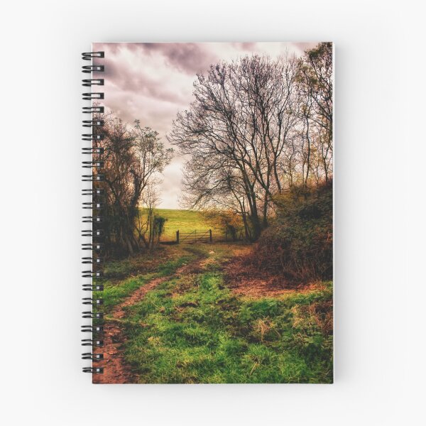 Item preview, Muddy Country Path HDR designed and sold by Vicki Field.
