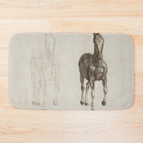 Item preview, Anatomy of the horse - george stubbs designed and sold by Vintage Designs +.