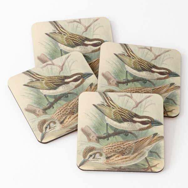 Item preview, Black-throated Barbet And Short-tailed Lark designed and sold by laguitan10.