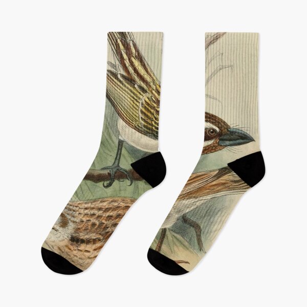 Item preview, Black-throated Barbet And Short-tailed Lark designed and sold by laguitan10.