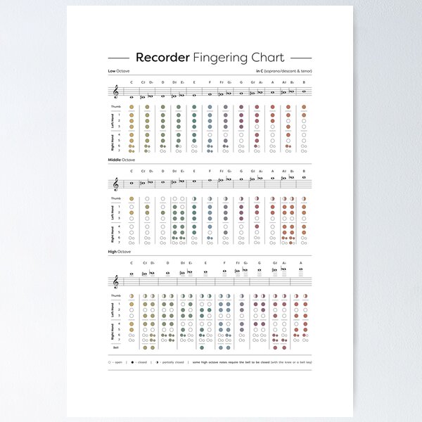 Item preview, Recorder Fingering Chart - Soprano designed and sold by pennyandhorse.