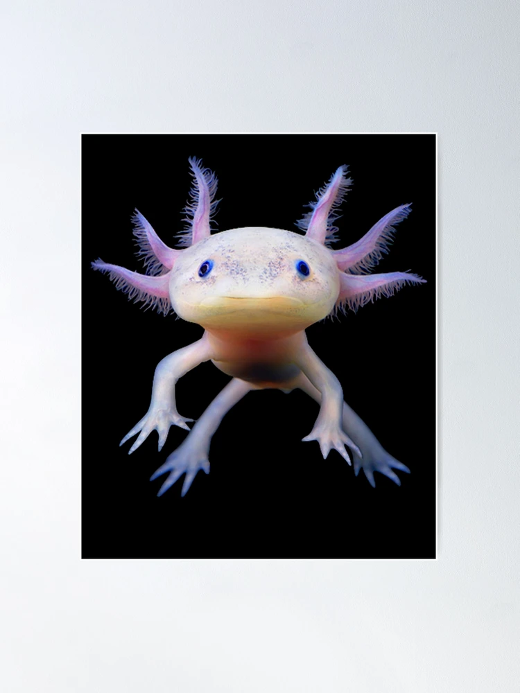 Cute Axolotl Mexican Walking Fish White Mug 