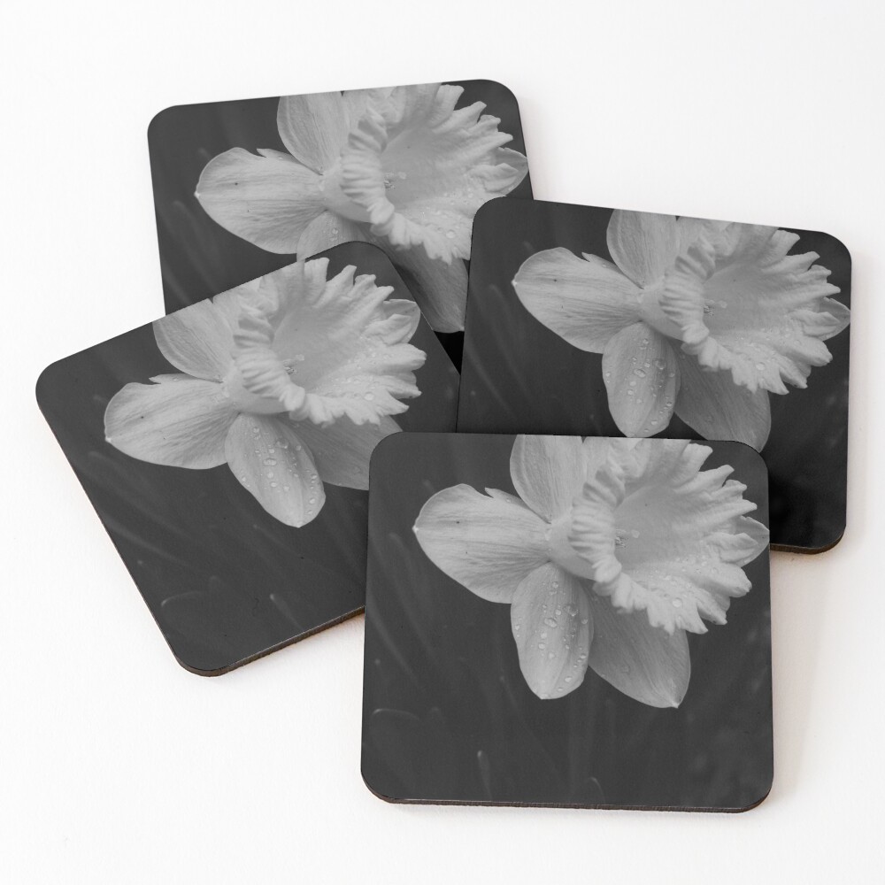 Item preview, Coasters (Set of 4) designed and sold by R-York.