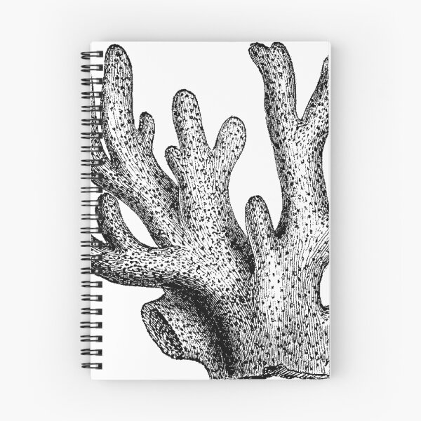 Aperçu de l'œuvre Velours? créée et vendue par Quill-n-Ink.