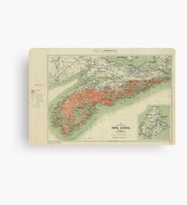 Vintage Geological Map of Nova Scotia (1906) Canvas Print