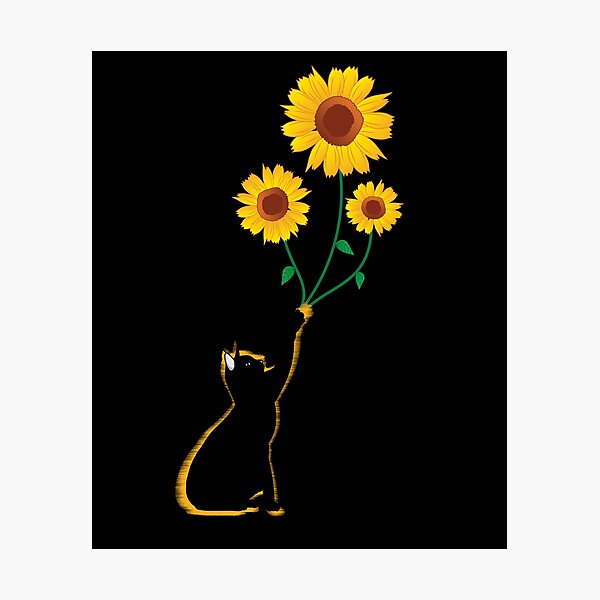 Sunflower cat