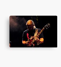 Derek Trucks Canvas Print