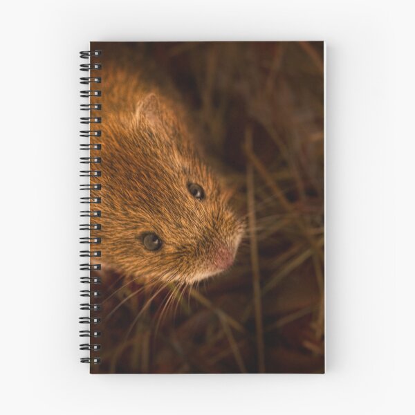 Item preview, A Vole in my Bucket! designed and sold by John Dewar.