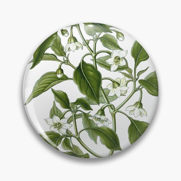 Item preview, Chili Pepper - Capsicum Annuum  designed and sold by redoARTstore.