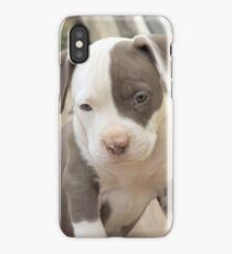 Royal Cajun Lady of York iPhone Case/Skin