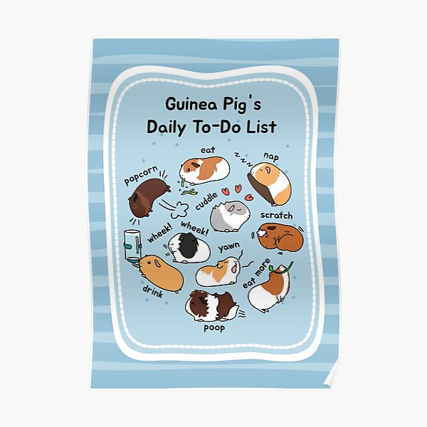 Guinea Pig Daily To-Do List - Blue Background Poster