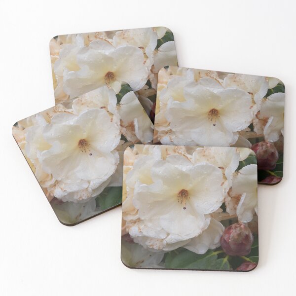 Item preview, Rhododendron  designed and sold by jdphotos.
