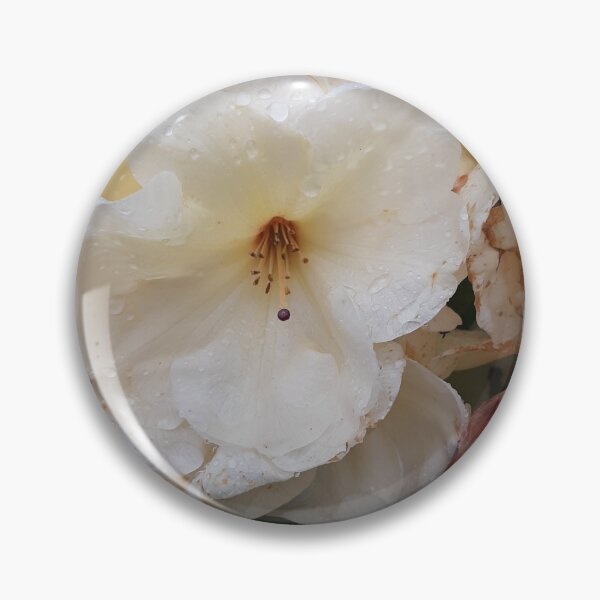 Item preview, Rhododendron  designed and sold by jdphotos.